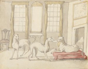 Drie windhonden in een kamer door Pieter Casteels